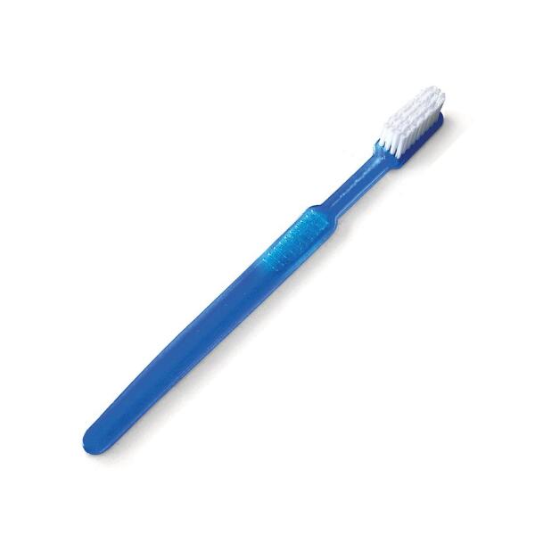Einmal-Zahnbürsten ohne Paste, blau (VPE: 100 Stück)  UK = 10 Pack